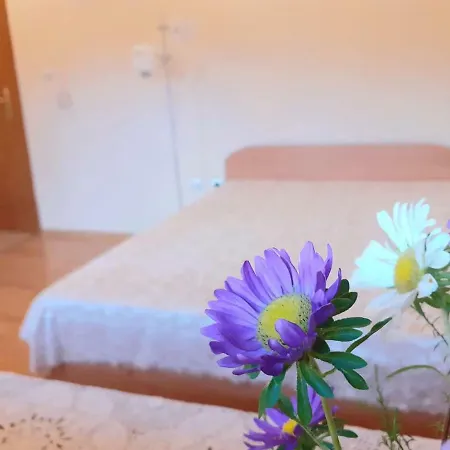 Cosy Studio In Downtown 아파트 반스코