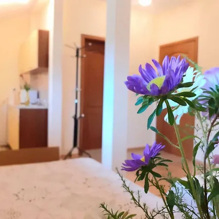 아파트 Cosy Studio In Downtown